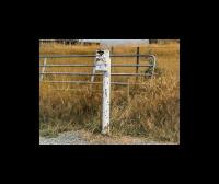 Albums/20060200-New Zealand 2006/20060316-Twiz/44